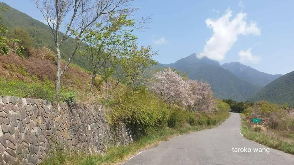 台灣特色旅遊